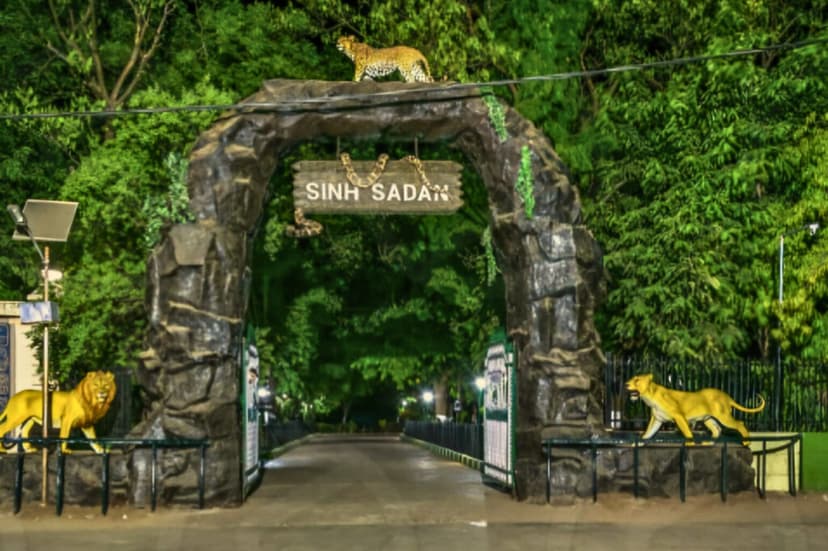 gujarat Gallery Image 7